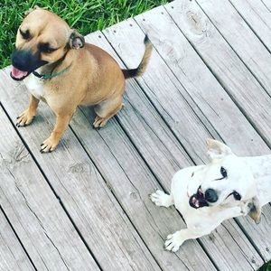 Meet your Posher, Arely